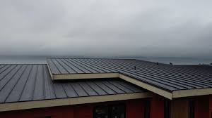 Best Roof Ventilation Installation  in Ashtabula, OH